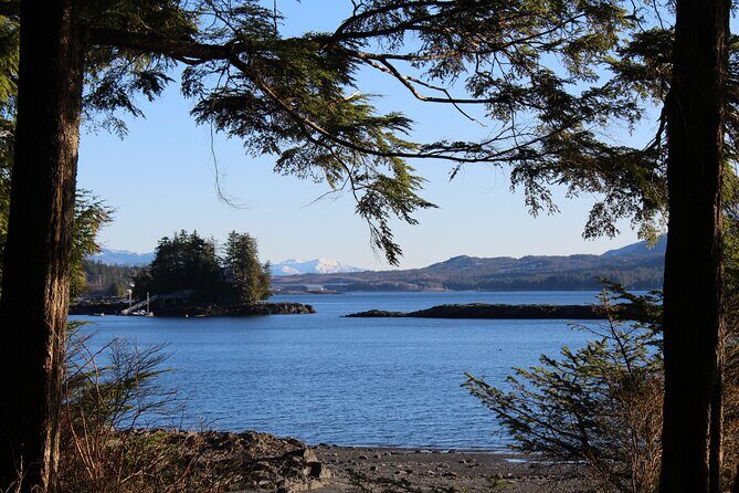 Off the Beaten Path Ketchikan Photo Safari - 3 hr. - Who Will Love This Tour?