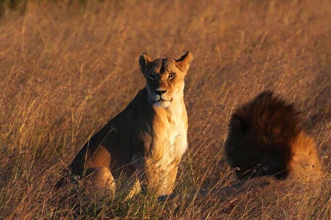 Off the Beaten Track Safari in Arusha Tanzania - Itinerary Breakdown: Day by Day