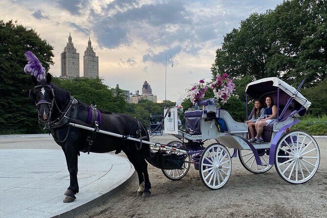 OFFICIAL NYC Central Park Horse Carriage Rides - Final Thoughts