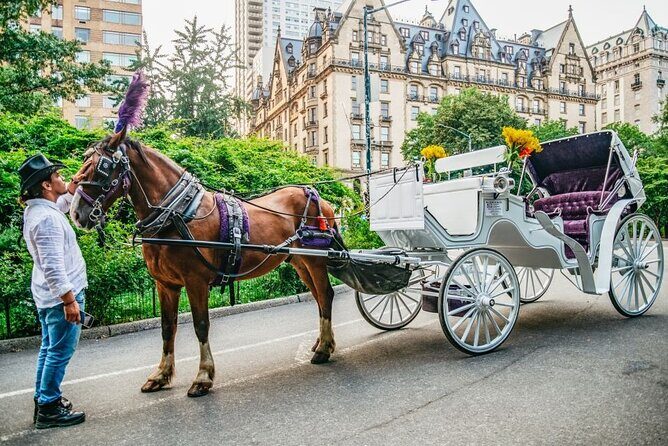 Official Private New York City Central Park Horse Carriage Ride Since 1965 - What to Expect During the Ride