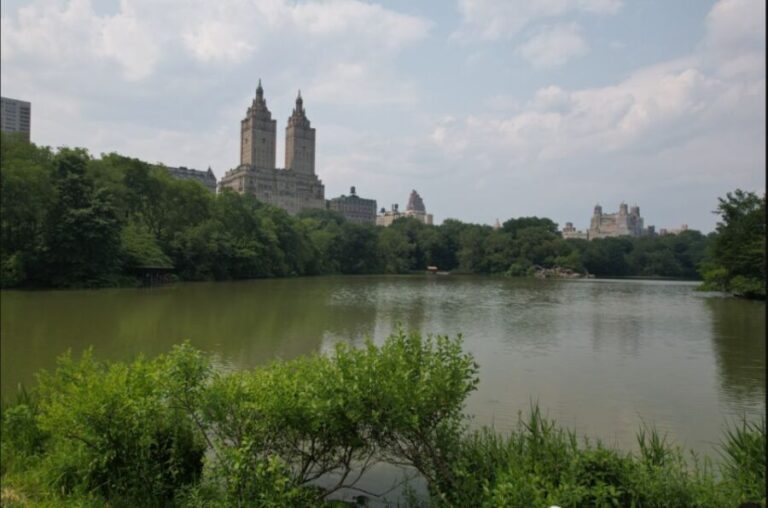 Official VIP Whole Central Park Horse Carriage Tour - Analyzing the Value