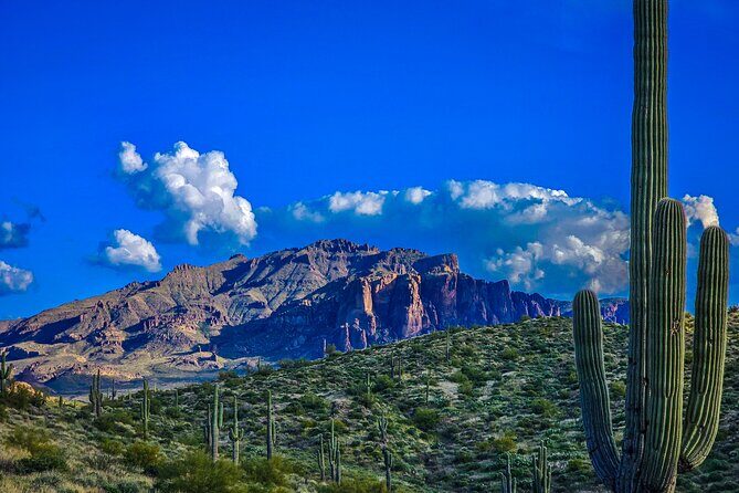 Offroad Sonoran Desert Adventure and Sunset - What Makes This Tour Stand Out