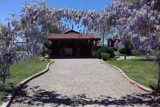 Ojos Negros Valley Wine and Cheese Route Tour in Baja California - Transportation and Group Size