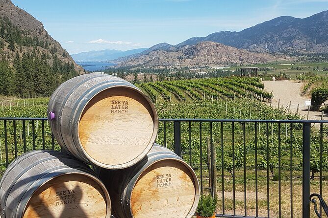 Okanagan Falls Private Wine Tour - Full Day - The Experience: What Travelers Are Saying