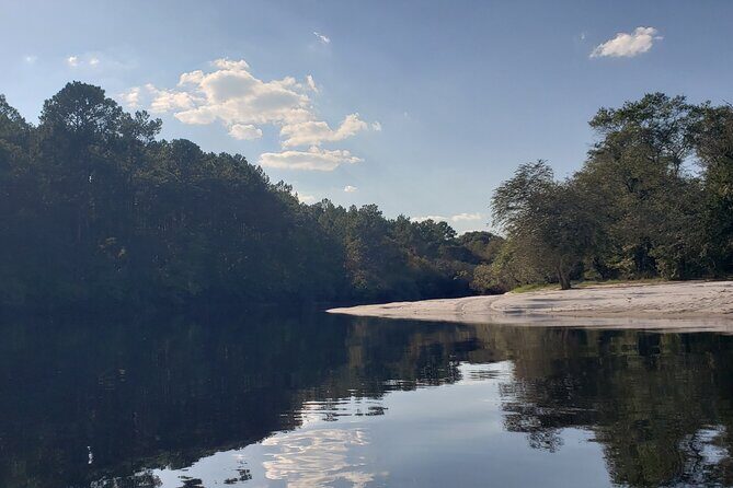 Okefenokee Swamp: Guided Kayak Tour with a Local Naturalist - Who Is This Tour For?