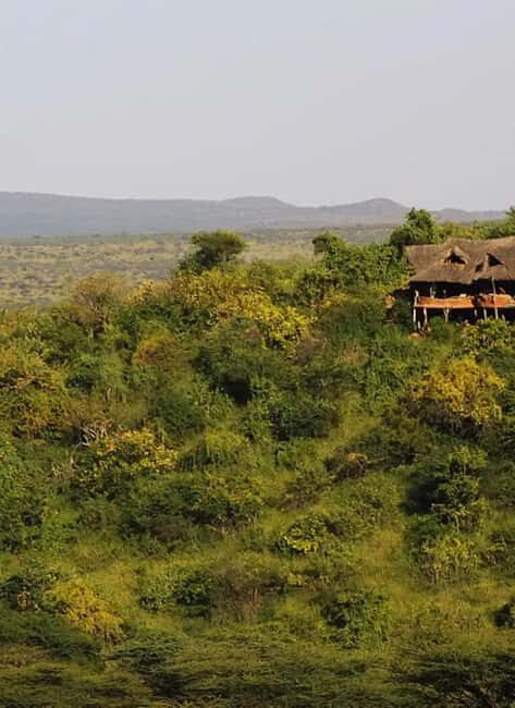 Ol Pejeta Conservancy Full-Day Safari - Is it Worth the Price?