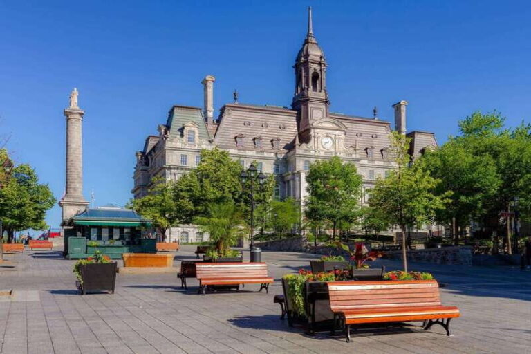 Old Montreal Highlights Private Guided Walking Tour - What You’ll Experience