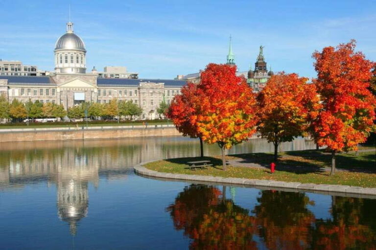 Old Montreal Private Walking Tour with Cruise Tickets - Why This Tour Offers Good Value