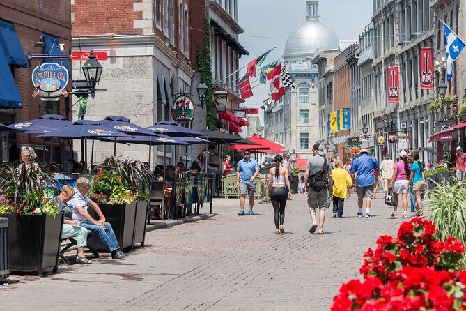 Old Montreal Walking Tour with Local Guide - What Makes This Tour Stand Out?