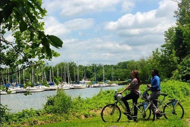 Old Town Alexandria to Mount Vernon Bike Rentals - Who Will Love This?