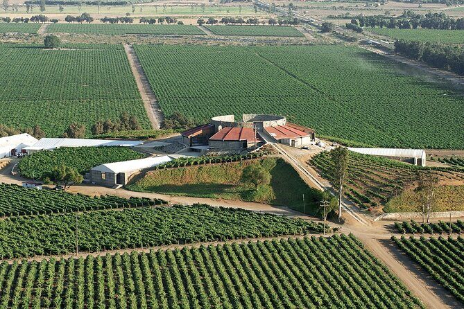 Old Wine Route Tour Experience at Baja California. ALL INCLUSIVE! - Who Will Love This Tour?