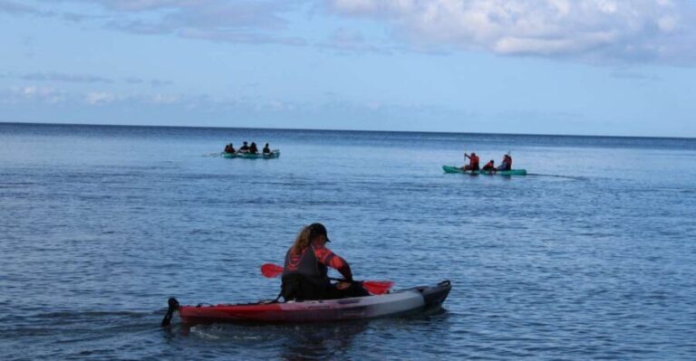 Olowalu: Guided Kayak and Snorkeling Tour - Unlimited - Detailed Breakdown of the Tour Experience
