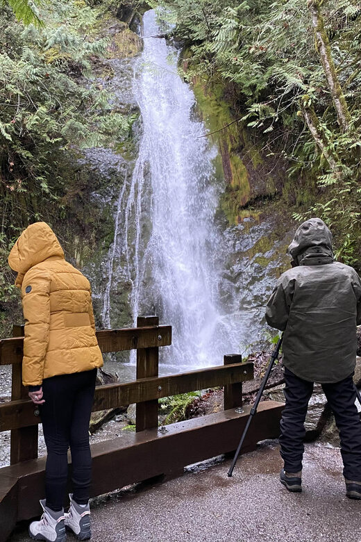 Olympic National Park: Half-Day Tour - The Value of the Experience