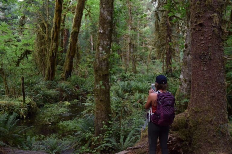 Olympic National Park: Hoh Rain Forest and Rialto Beach Tour - The Value of the Tour