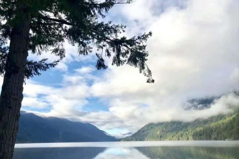 Olympic National Park Small Group Day Tour w/ State Ferries - What You Can Expect During the Day