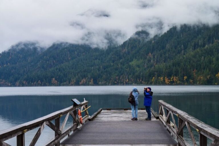 Olympic National Park: Sol Duc and Hurricane Ridge Tour - Highlights of the Tour