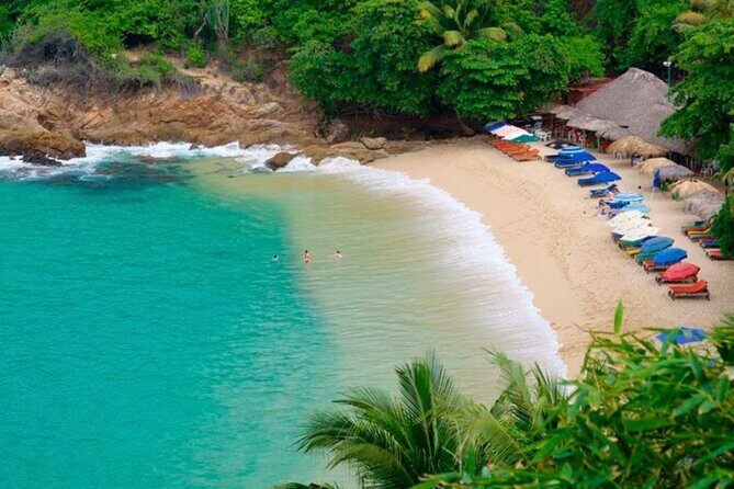 One Day from Oaxaca Getaway to Puerto Escondido - The Experience: What You Need to Know