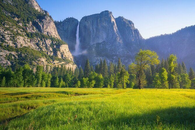 One Day In Yosemite Private Tour:Yosemite Valley, Glacier Point & Giant Sequoias - The Guide Experience