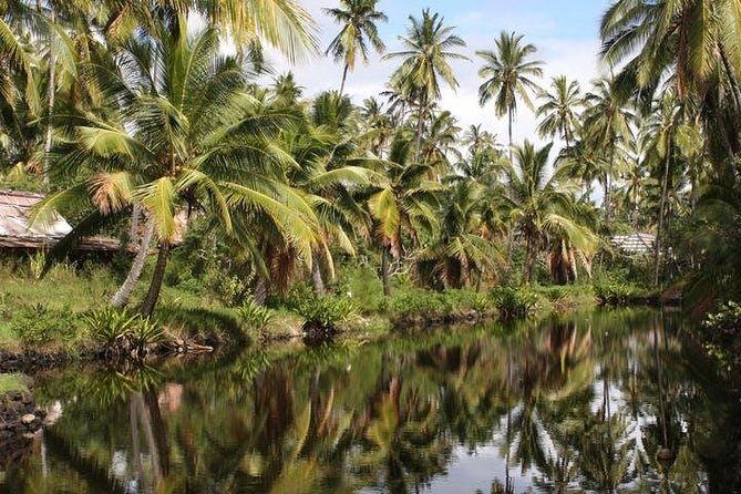One-Day Tour Hawaii Movie Tour: Island Hopping from Oahu to Kauai - Who Would Love This Tour?