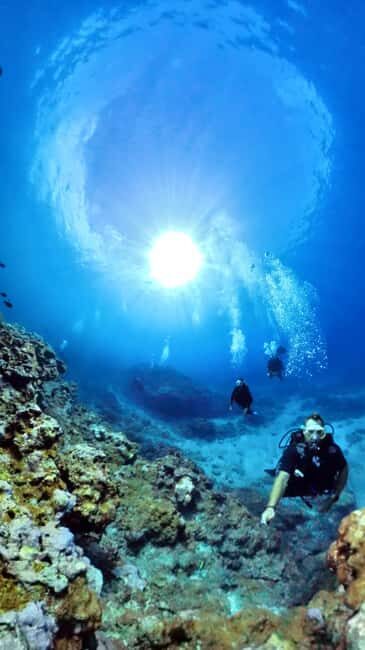 One-hour introduction to scuba diving! - The Classroom Portion: Learning the Basics