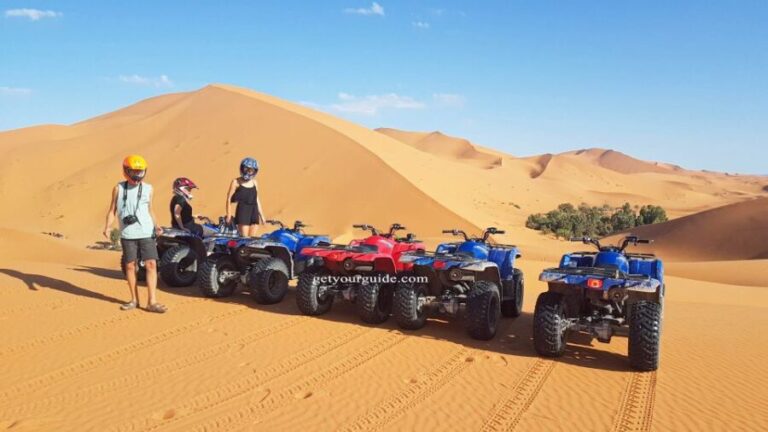 One Hour Sahara Desert Quad Biking tour - Who Is This Tour Best For?