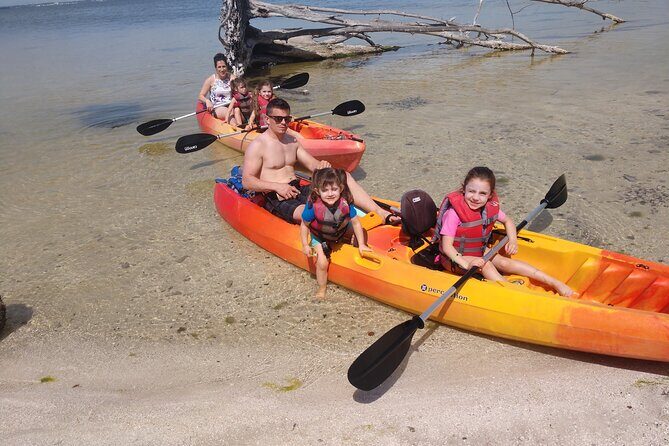 One Single Kayak Rental for 2 hours with Manatee & Dolphin sightings! - The Practical Stuff: Logistics, Cost, and What to Expect