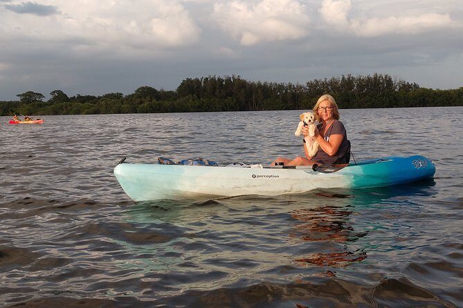 One Tandem Kayak Rental for 2 hours with Manatee & Dolphin sightings! - Insights From Past Participants