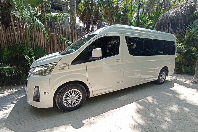 One way From Cancun Airport Private Transport to Tulum Centro - Who Should Consider This Transfer?