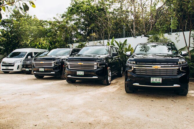 One Way Private Transfer Cancun Int Airport - Tulum Hotel Zone - A Detailed Look at the Transfer Experience