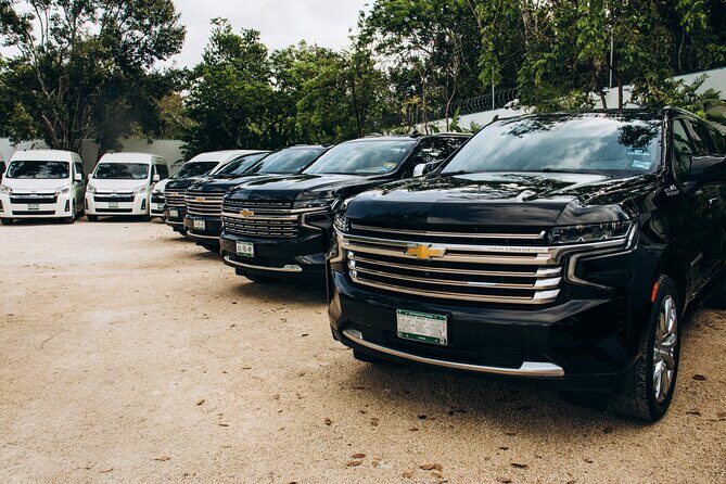 One Way Private Transfer Playa del Carmen - Cancun Int Airport - Key Points