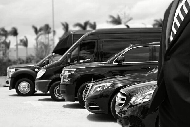 One-Way Transfer from the Airport to the Cruise Port - Frequently Asked Questions
