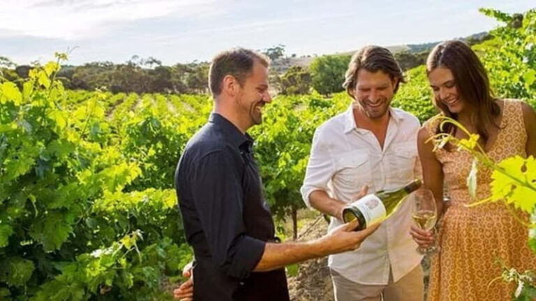 Ontario: Afternoon Wine Tour and Cheese Pairing - The Itinerary Breakdown: What Youll Experience