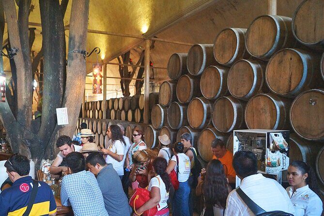 Opal Mining Experience and Tequila Tasting PRIVATE TOUR - What to Expect from the Opal Mining Experience