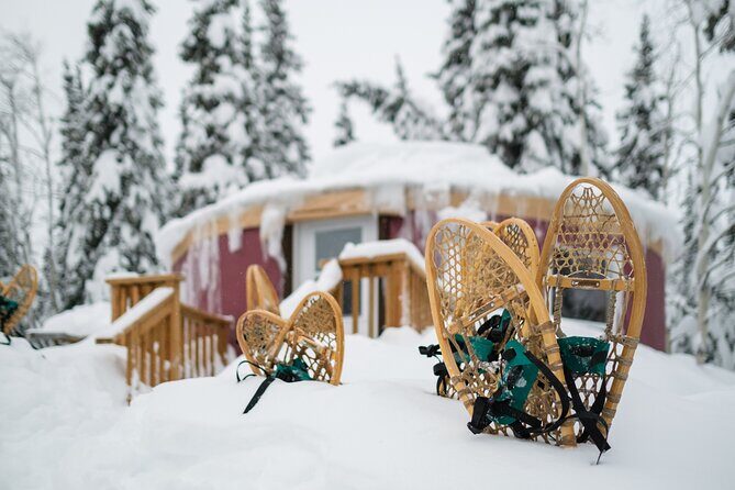 Open Fire Aurora Viewing and Snowshoeing Adventure in Whitehorse - Who Will Love This Tour?