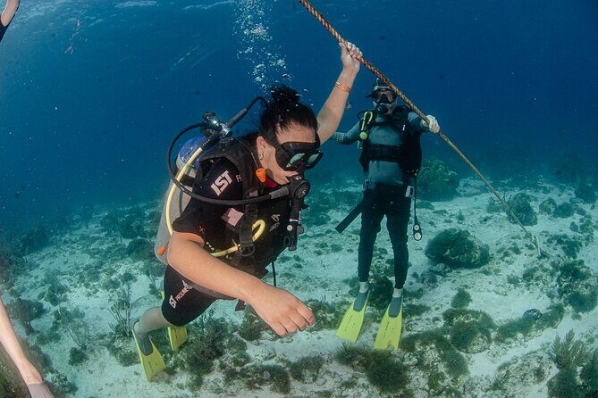 Open Water course Isla Mujeres - What the Course Covers and Why It Matters