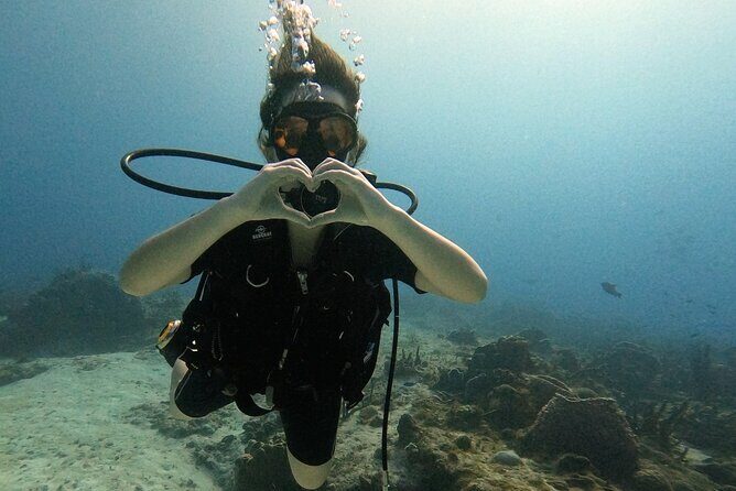 Open Water Diver Course - The Cost and What You Get