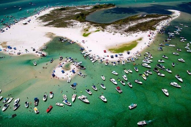 Orange Beach 1.5-Hour Bay Cruise - What Travelers Say About the Experience
