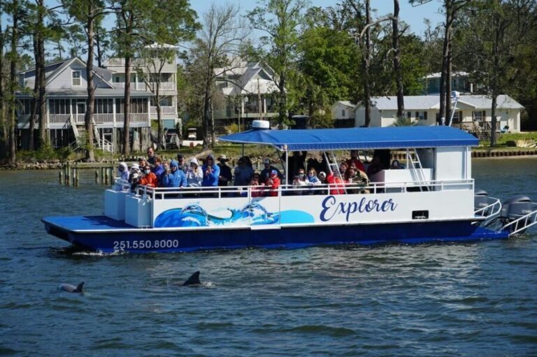 Orange Beach: Dolphin Eco Sunset Cruise aboard The Explorer - The Marine Wildlife and Scenic Highlights
