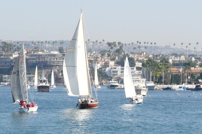 Orange County Beach Cities Highlights Private Full Day Tour - Why This Tour Offers Great Value