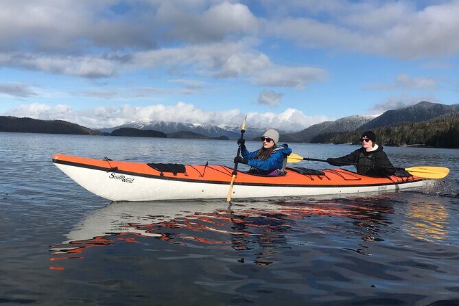 Orca Cove Sea Kayaking - Why This Tour Is a Good Deal