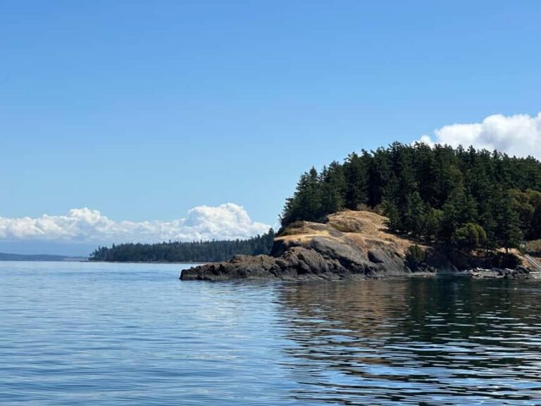 Orcas Island: Wildlife Spotting Kayak Tour - Final Words: Why Choose This Kayak Tour?