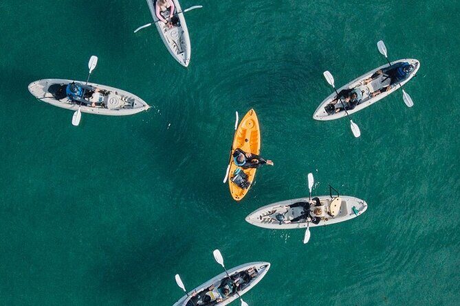 Original La Jolla Sea Cave Kayak Tour for Two - Authentic Experiences from Reviewers