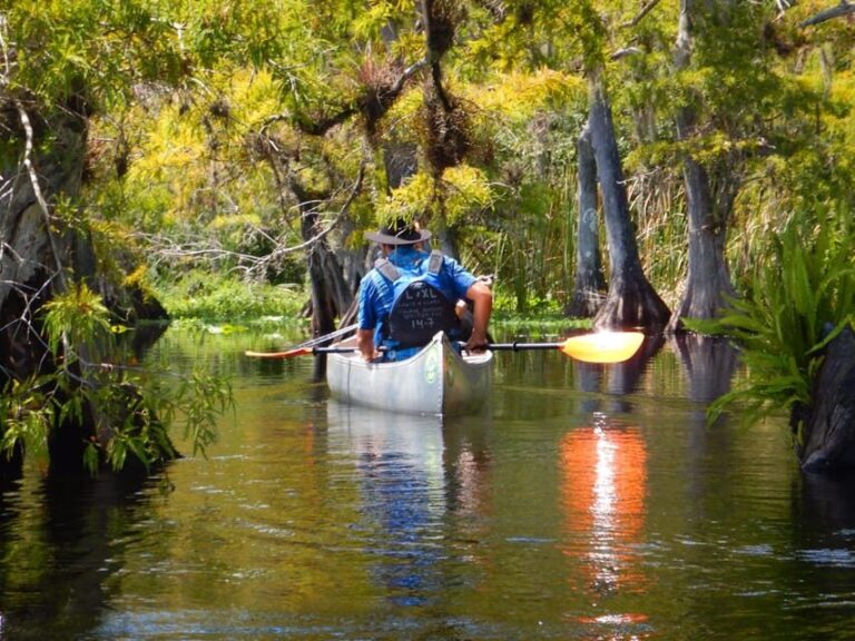 Orlando Alligator Experience: Day-Trip From Orlando - An In-Depth Look at the Orlando Alligator Experience