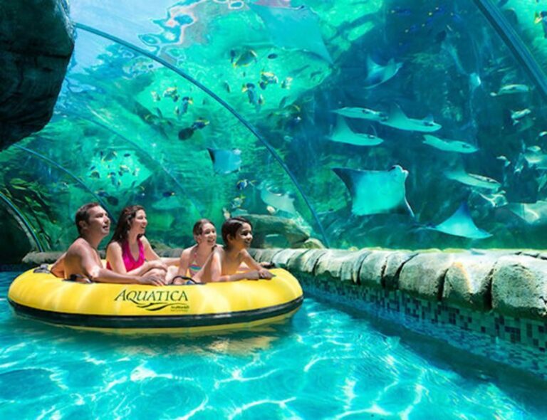 Orlando: Aquatica Water Park Admission Ticket - What to Expect from a Day at Aquatica
