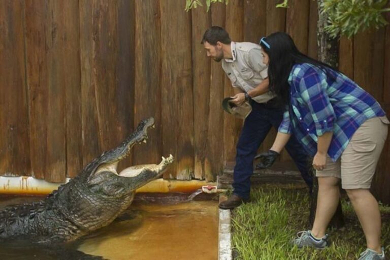 Orlando: Gatorland Interactive Tour with Animal Trainer - Who Should Consider This Tour?