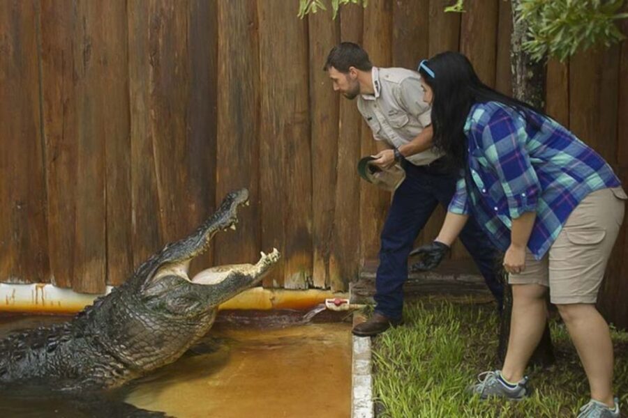 Orlando: Gatorland Interactive Tour with Animal Trainer - Who Should Consider This Tour?
