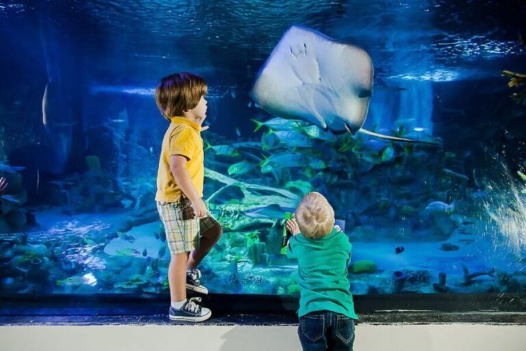 Orlando: Madame Tussauds and SEA LIFE Aquarium Combo Ticket - Practical Details and Logistics