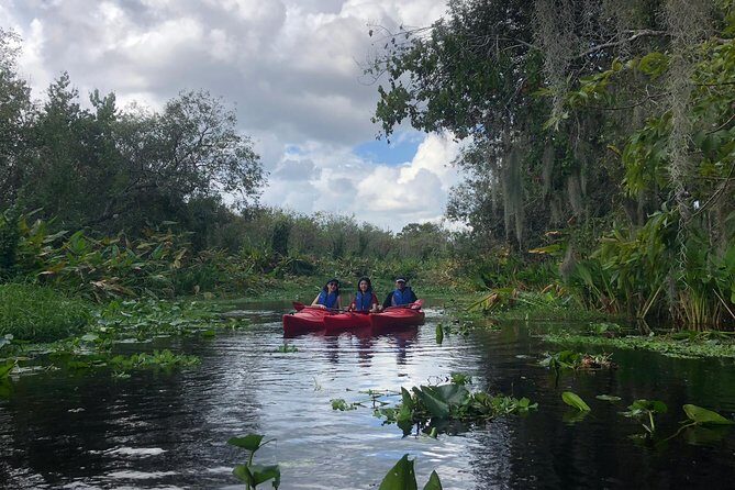 Orlando Manatee Encounters