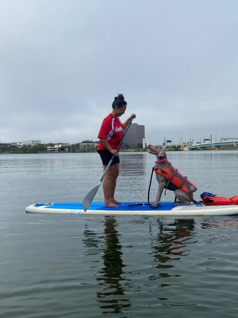 Orlando: Paddle with Pups in Paradise - Paddleboard or Kayak - Detailed Itinerary & What to Expect