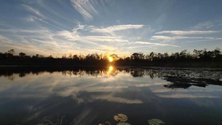 Orlando: Sunset guided kayaking tour - The Value of the Experience